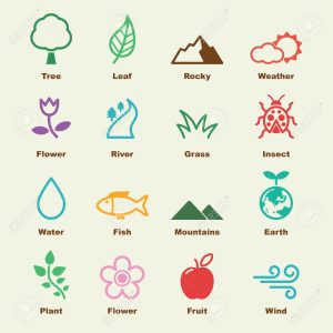 Los Símbolos en la Naturaleza: Explorando la Simbología en Elementos Naturales
