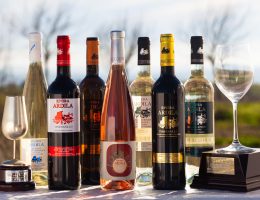 los mejores vinos de Badajoz