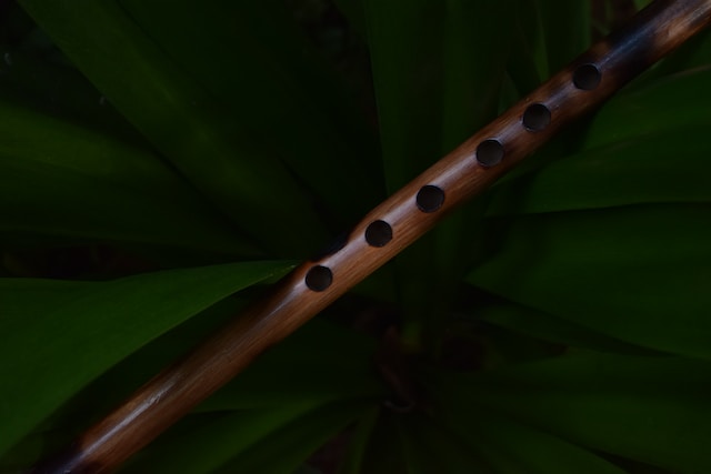 consejos para limpiar flautas de madera